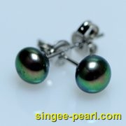 (8-8.5mm黑色)珍珠耳钉ED12001-3|心艺珍珠饰品网-珍珠图片