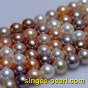(11-12mm混彩)珍珠直链ZL12003-2|心艺珍珠饰品网-珍珠图片