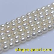 (7-8mm白色)珍珠直链ZL12004|心艺珍珠饰品网-珍珠图片