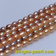 (7-8mm粉色，紫色)珍珠直链ZL12006-2|心艺淡水珍珠饰品图片