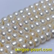 (11-12mm白色)珍珠直链ZL12009-3__心艺珍珠饰品网-饰品图片