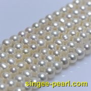 (8-9mm白色)珍珠直链ZL12016-2|心艺淡水珍珠饰品图片