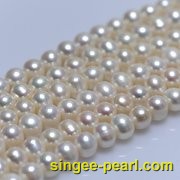 (8-9mm白色)珍珠直链ZL12016-3|心艺淡水珍珠饰品图片