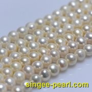 (7-8mm白色)珍珠直链ZL12019__心艺珍珠饰品网-饰品图片