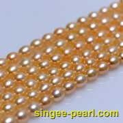 (6-7mm粉色)珍珠直链ZL12021-1|心艺淡水珍珠饰品图片