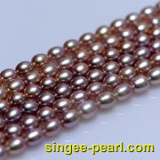 (6-7mm紫色)珍珠直链ZL12021-3|心艺淡水珍珠饰品图片