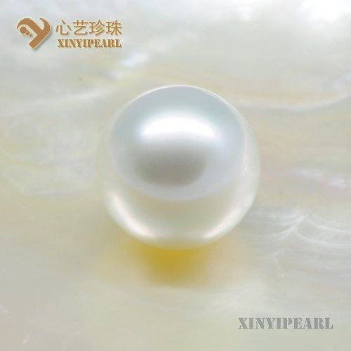 (15.2mm白色)珍珠裸珠SC12121-1|心艺珍珠饰品网-珍珠图片